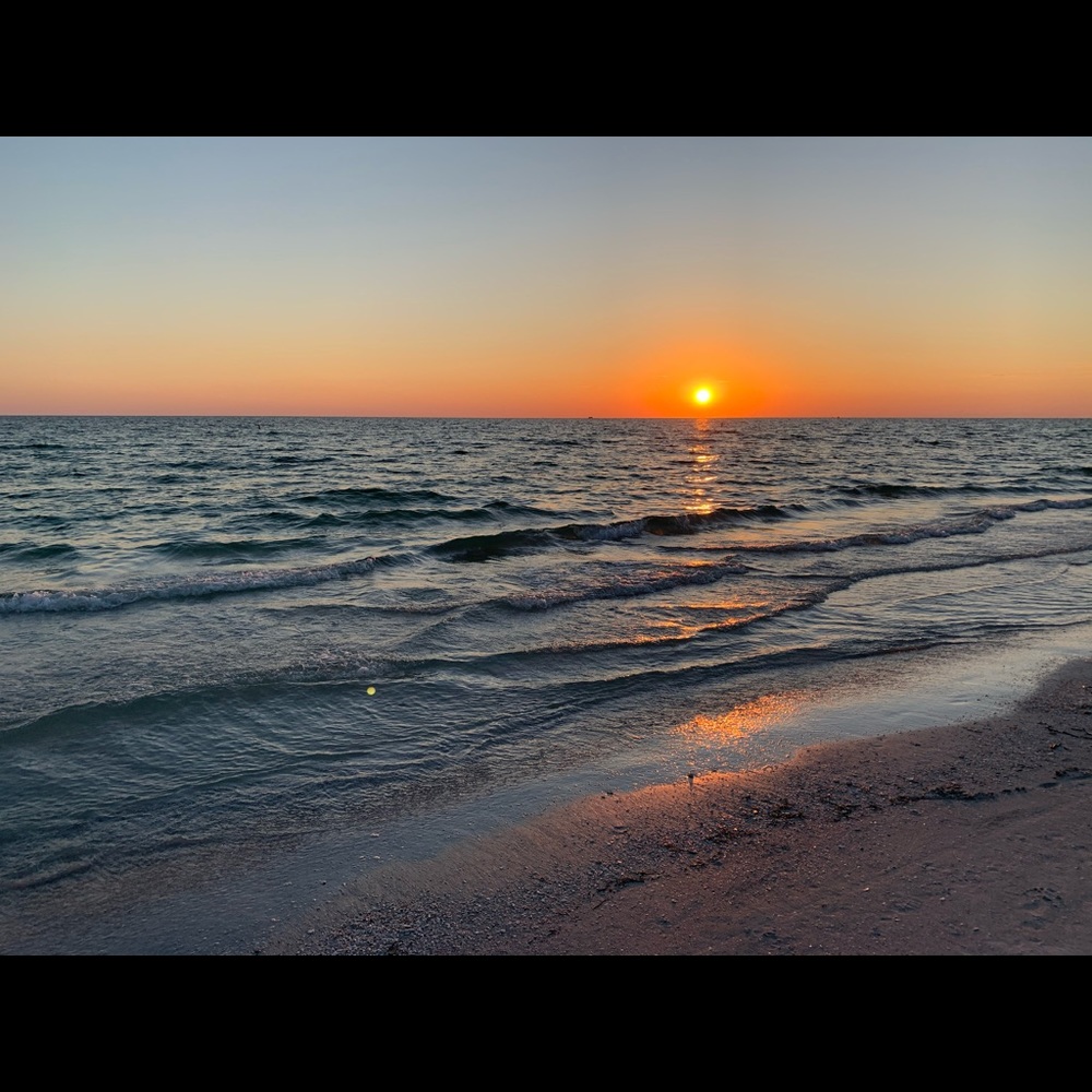 Meet your Posher, Arzu